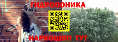 молекула духа Гусев
