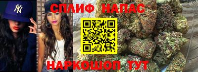 гидра Гусь-Хрустальный