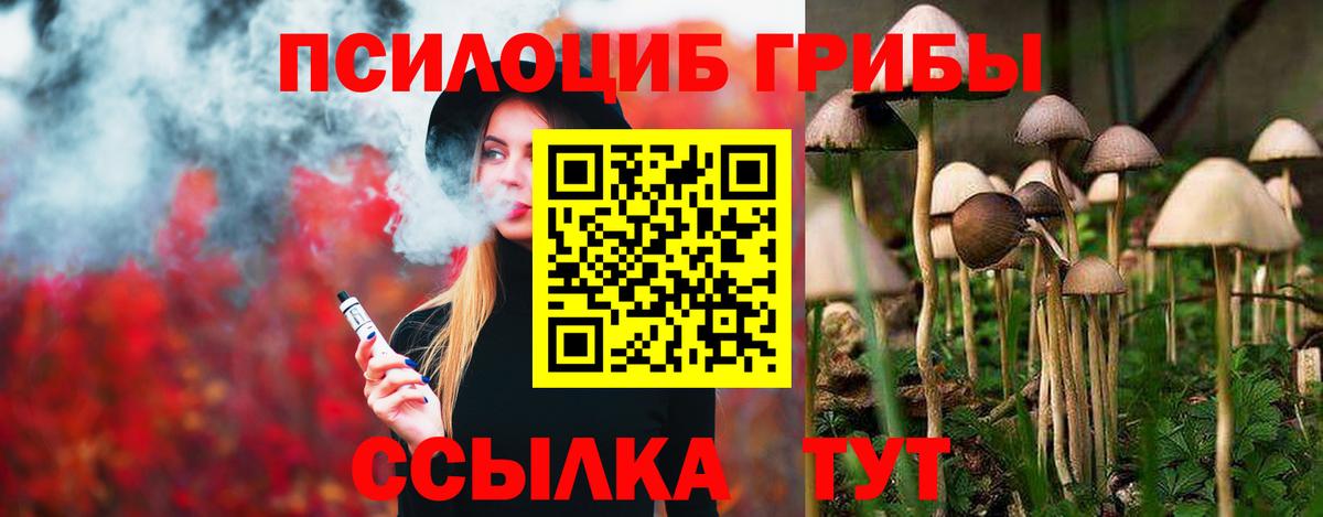 Галлюциногенные грибы Magic Shrooms  Вход с VPN  Лысьва  Галлюциногенные грибы Psilocybe 